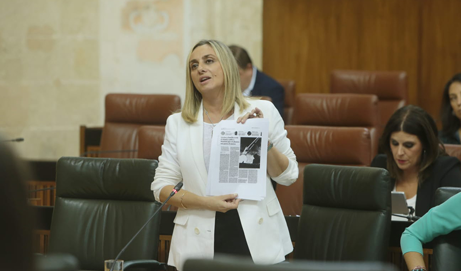 La consejera de Fomento, Marifrán Carazo, durante su intervención en el Pleno del Parlamento de Andalucía.